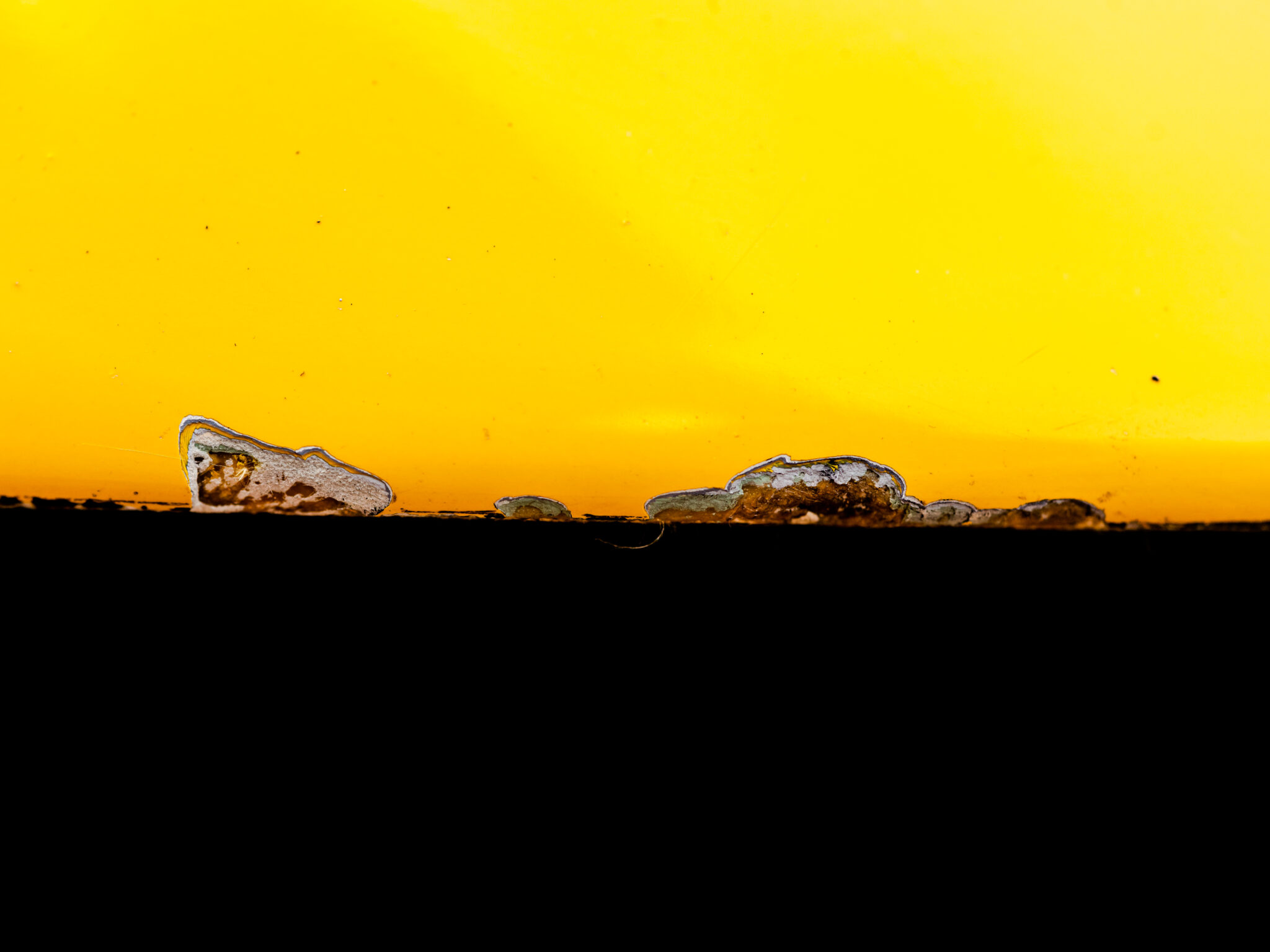 _DSC7121